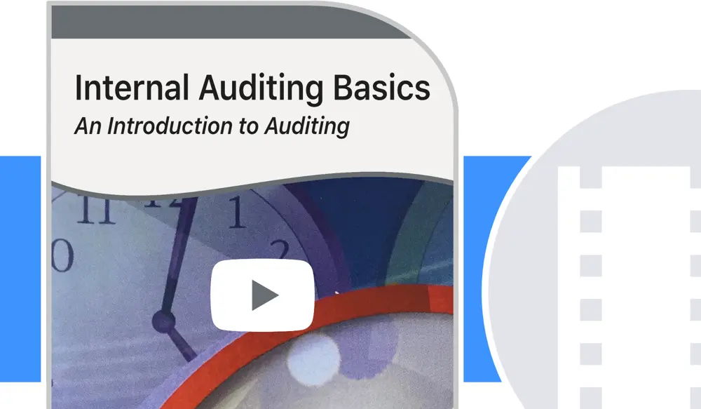 Internal Auditing Basics (DVD Version)
