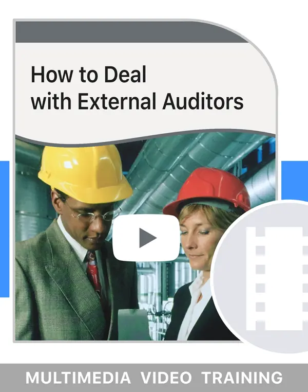 How To Deal With External Auditors
